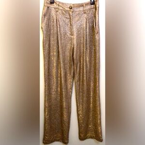 Wild fable Sparkle glitter pants size 8